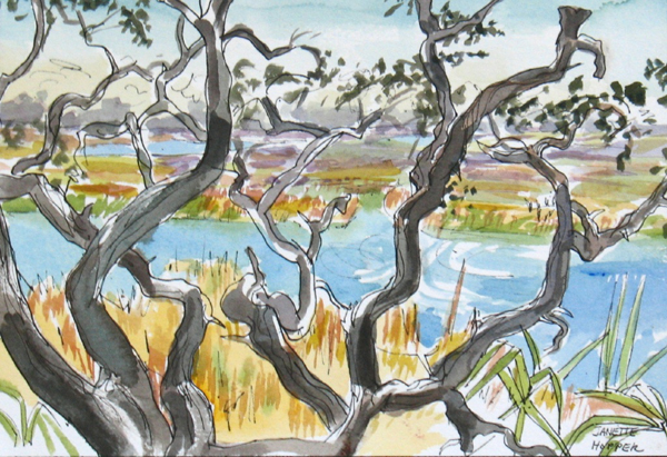 Live Oak Marsh