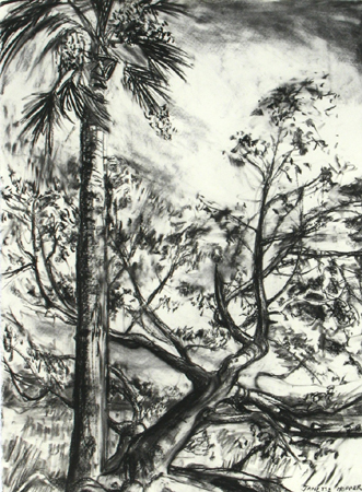 Red Cedar and Palm