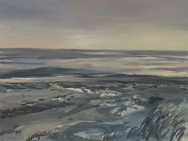 Sunset Panorama Grey